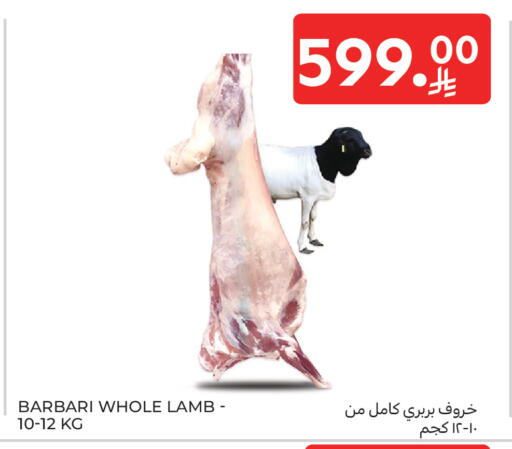 available at Carrefour in KSA, Saudi Arabia, Saudi - Sakaka