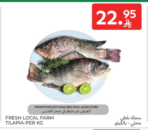 available at Carrefour in KSA, Saudi Arabia, Saudi - Sakaka
