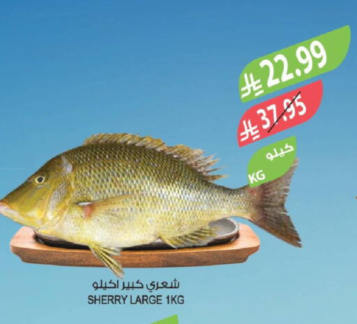 available at Farm  in KSA, Saudi Arabia, Saudi - Sakaka