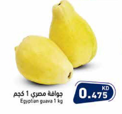 Guava from Egypt available at  رامز in الكويت - محافظة الجهراء