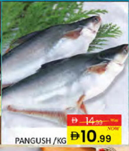 available at المدينة in الإمارات العربية المتحدة , الامارات - دبي