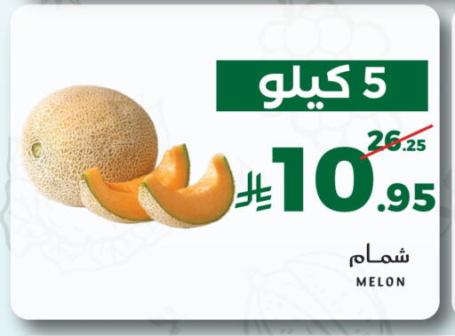 Melon available at Mira Mart Mall in KSA, Saudi Arabia, Saudi - Jeddah