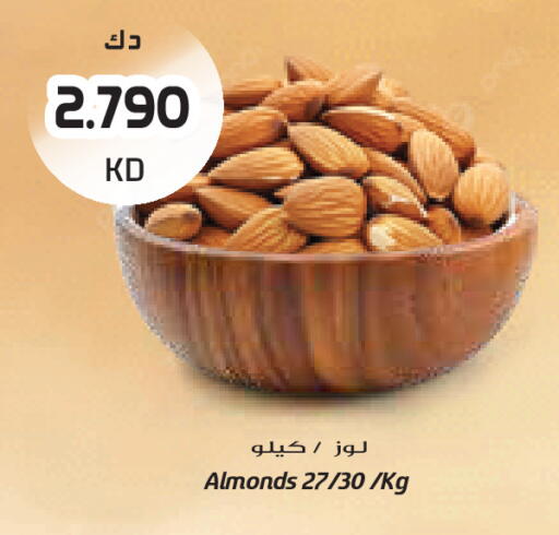 available at Grand Costo in Kuwait - Ahmadi Governorate