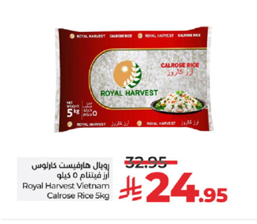 available at LULU Hypermarket in KSA, Saudi Arabia, Saudi - Jeddah