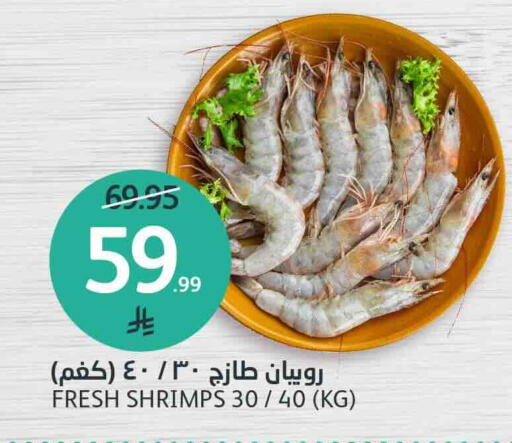 available at AlJazera Shopping Center in KSA, Saudi Arabia, Saudi - Riyadh