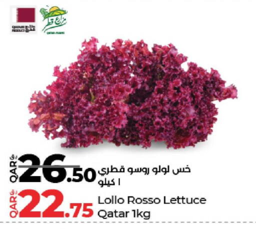 Lettuce available at لولو هايبرماركت in قطر - الدوحة