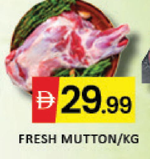 Mango available at مانجو هايبرماركت in الإمارات العربية المتحدة , الامارات - دبي