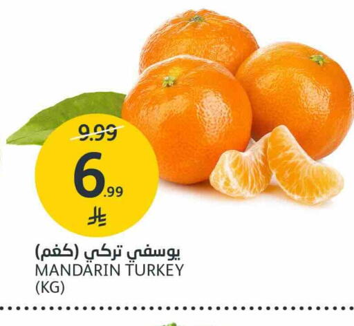 Mandarin from Turkey available at AlJazera Shopping Center in KSA, Saudi Arabia, Saudi - Riyadh