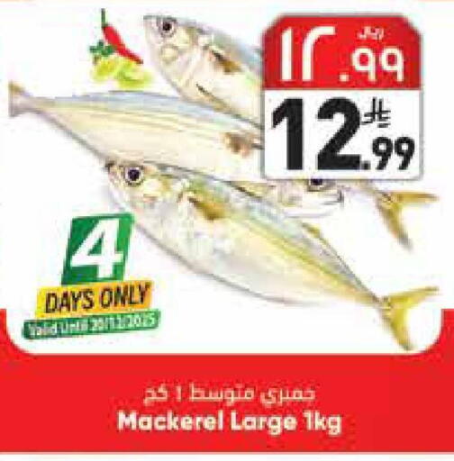 available at ستي فلاور in مملكة العربية السعودية, السعودية, سعودية - الجبيل‎