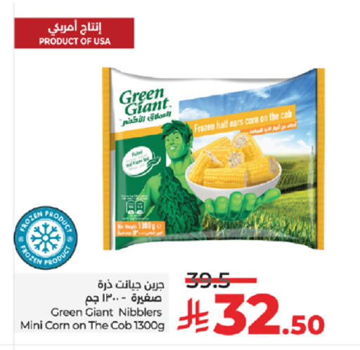 available at لولو هايبرماركت in مملكة العربية السعودية, السعودية, سعودية - مكة المكرمة