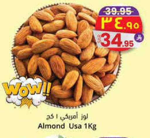 available at ستي فلاور in مملكة العربية السعودية, السعودية, سعودية - سكاكا