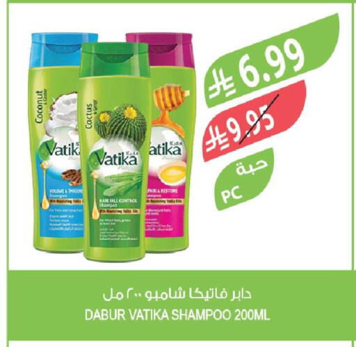 Coconut available at المزرعة in مملكة العربية السعودية, السعودية, سعودية - تبوك