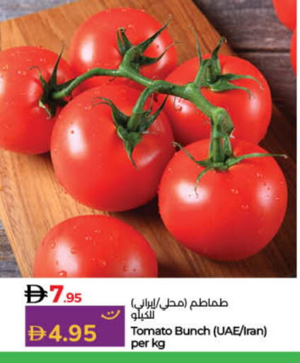 Tomato from Iran available at Lulu Hypermarket in UAE - Umm al Quwain