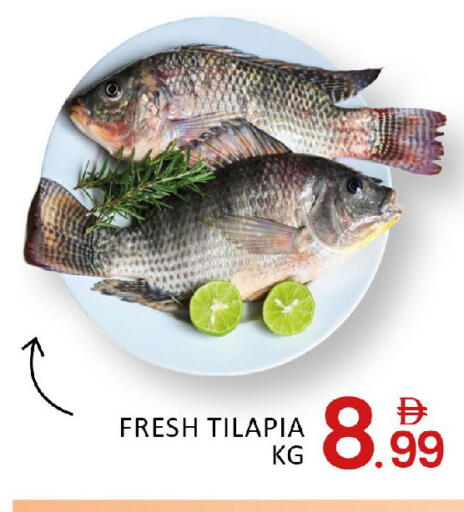 Mango available at Mango Hypermarket LLC in UAE - Dubai