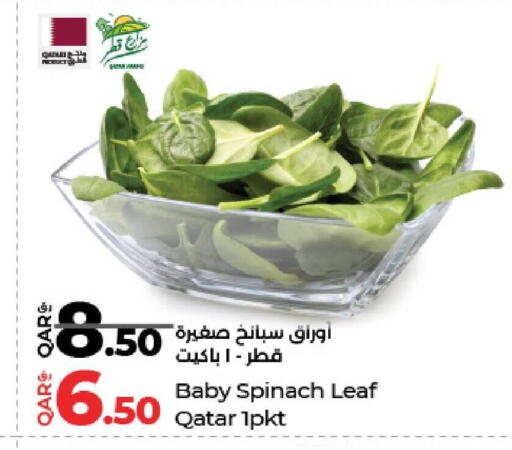Spinach available at لولو هايبرماركت in قطر - الشمال