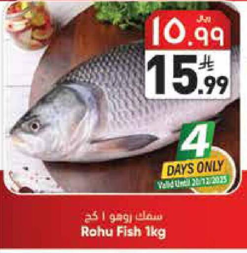 available at ستي فلاور in مملكة العربية السعودية, السعودية, سعودية - الجبيل‎