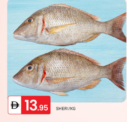 available at سوق طلال in الإمارات العربية المتحدة , الامارات - دبي