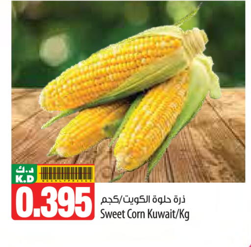 Mango from Kuwait available at مانجو هايبرماركت in الكويت - مدينة الكويت