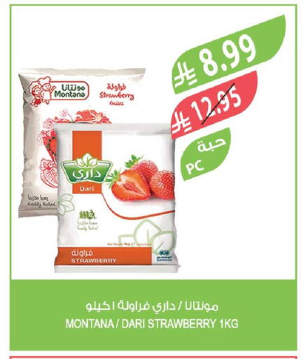 Strawberry available at Farm  in KSA, Saudi Arabia, Saudi - Jazan