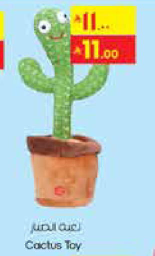 available at City Flower in KSA, Saudi Arabia, Saudi - Al Hasa