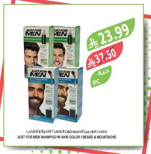 available at المزرعة in مملكة العربية السعودية, السعودية, سعودية - تبوك