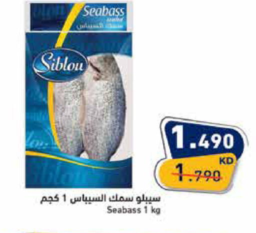 available at  رامز in الكويت - محافظة الجهراء