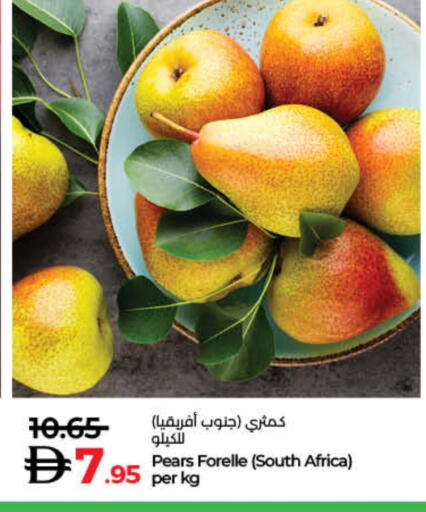 from South Africa available at Lulu Hypermarket in UAE - Ras al Khaimah