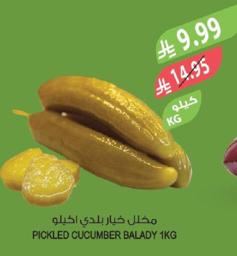Cucumber available at المزرعة in مملكة العربية السعودية, السعودية, سعودية - جدة