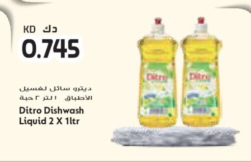 available at Grand Costo in Kuwait - Ahmadi Governorate