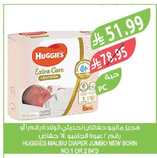 available at Farm  in KSA, Saudi Arabia, Saudi - Dammam