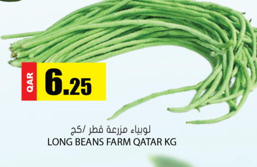 from Qatar available at Grand Hypermarket in Qatar - Umm Salal