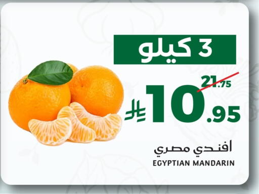 Mandarin from Egypt available at Mira Mart Mall in KSA, Saudi Arabia, Saudi - Jeddah