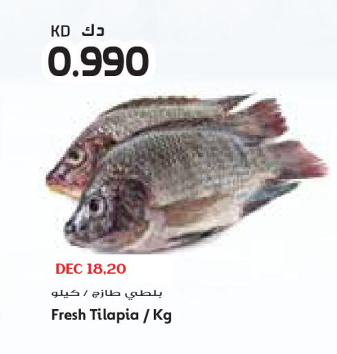 available at Grand Costo in Kuwait - Ahmadi Governorate