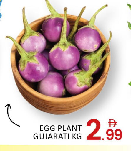 Mango available at Mango Hypermarket LLC in UAE - Dubai