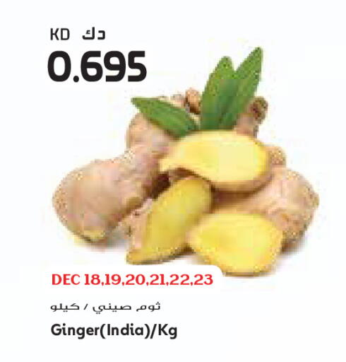 Ginger from India available at Grand Costo in Kuwait - Ahmadi Governorate