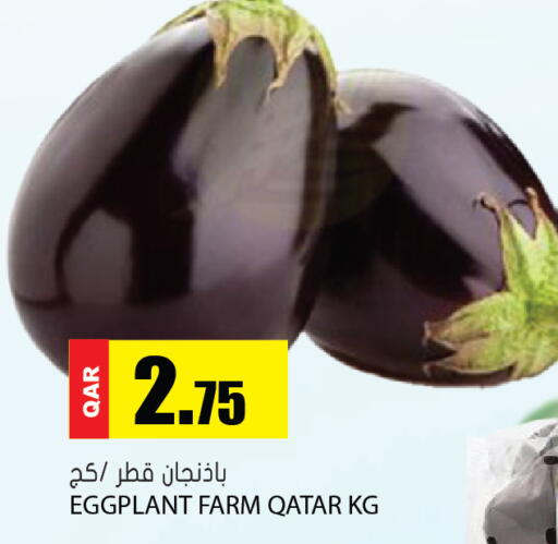 Eggplant from Qatar available at Grand Hypermarket in Qatar - Umm Salal