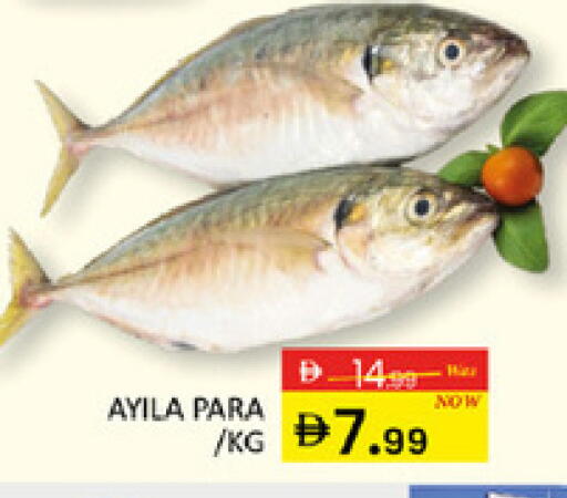 available at المدينة in الإمارات العربية المتحدة , الامارات - دبي