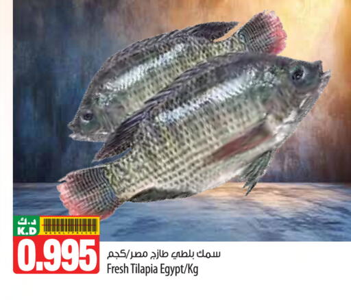 Mango available at مانجو هايبرماركت in الكويت - محافظة الأحمدي