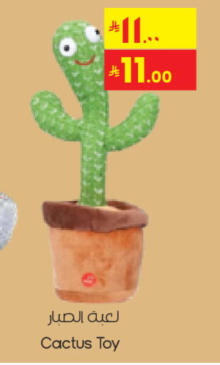 available at ستي فلاور in مملكة العربية السعودية, السعودية, سعودية - الدوادمي