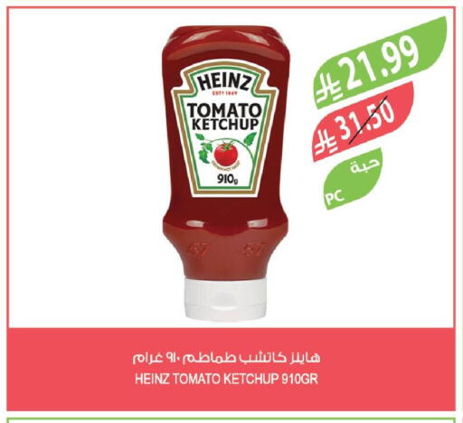 Tomato available at Farm  in KSA, Saudi Arabia, Saudi - Abha