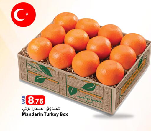Mandarin from Turkey available at دانا ماركت in قطر - الضعاين