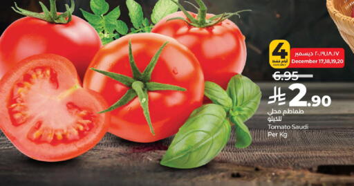 Tomato from Saudi Arabia available at لولو هايبرماركت in مملكة العربية السعودية, السعودية, سعودية - الجبيل‎