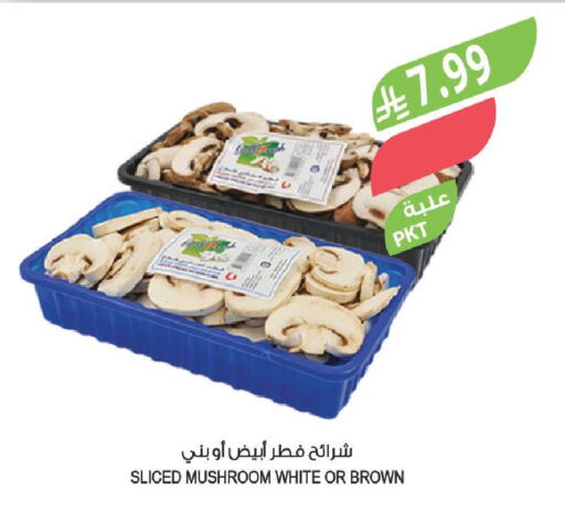 Mushroom available at المزرعة in مملكة العربية السعودية, السعودية, سعودية - القطيف‎