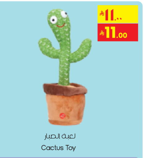 available at City Flower in KSA, Saudi Arabia, Saudi - Khafji