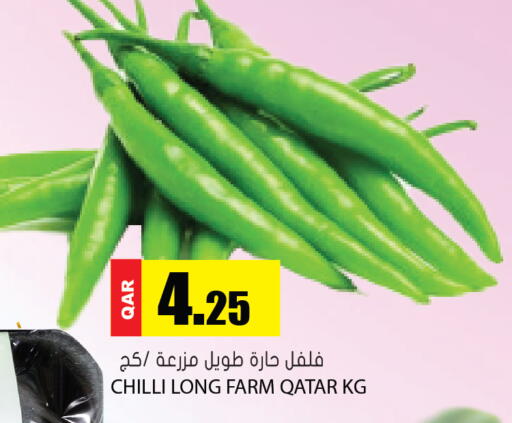 Chilli from Qatar available at Grand Hypermarket in Qatar - Umm Salal