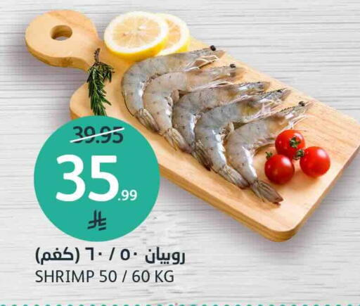 available at AlJazera Shopping Center in KSA, Saudi Arabia, Saudi - Riyadh