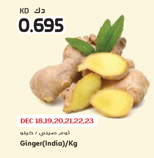 Ginger from India available at جراند هايبر in الكويت - مدينة الكويت