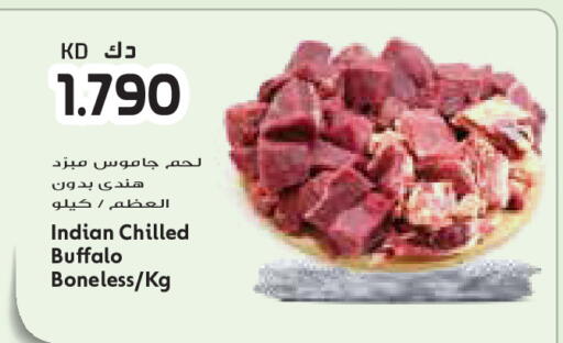 available at جراند كوستو in الكويت - مدينة الكويت