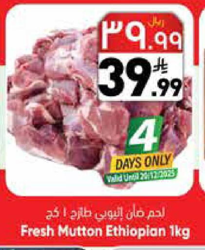 available at ستي فلاور in مملكة العربية السعودية, السعودية, سعودية - نجران