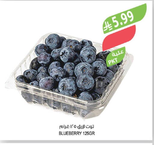 Blueberry BlueBerry available at المزرعة in مملكة العربية السعودية, السعودية, سعودية - نجران